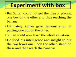 Experiment with box
 But Sultan could not get the idea of placing
one box on the other and thus reaching the
banana.
 Ultimately Kohler gave demonstration of
putting one box on the other.
 Sultan could now learn the whole situation.
 He used his intelligence and insight to put
the two boxes one upon the other, stand on
these and then reach the bananas.
 