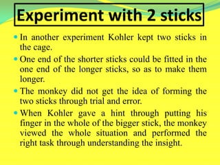 Experiment with 2 sticks
 In another experiment Kohler kept two sticks in
the cage.
 One end of the shorter sticks could be fitted in the
one end of the longer sticks, so as to make them
longer.
 The monkey did not get the idea of forming the
two sticks through trial and error.
 When Kohler gave a hint through putting his
finger in the whole of the bigger stick, the monkey
viewed the whole situation and performed the
right task through understanding the insight.
 