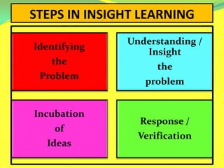 STEPS IN INSIGHT LEARNING
Identifying
the
Problem
Understanding /
Insight
the
problem
Incubation
of
Ideas
Response /
Verification
 