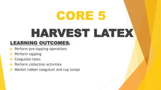 CORE 5
HARVEST LATEX
LEARNING OUTCOMES;
 Perform pre-tapping operations
 Perform tapping
 Coagulate latex
 Perform collection activities
 Market rubber coagulum and cup lumps
 