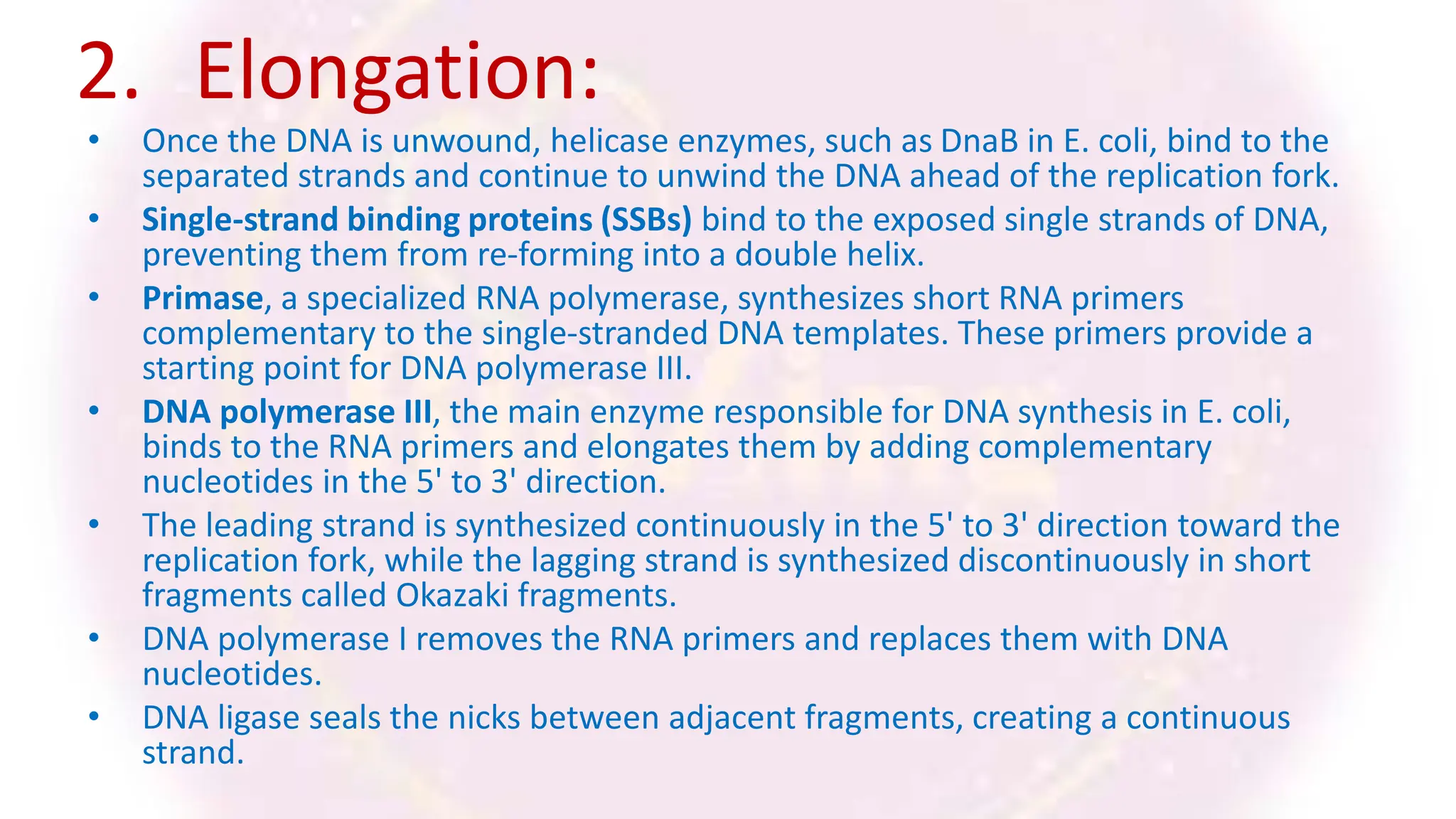 2. Elongation:
• Once the DNA is unwound, helicase enzymes, such as DnaB in E. coli, bind to the
separated strands and continue to unwind the DNA ahead of the replication fork.
• Single-strand binding proteins (SSBs) bind to the exposed single strands of DNA,
preventing them from re-forming into a double helix.
• Primase, a specialized RNA polymerase, synthesizes short RNA primers
complementary to the single-stranded DNA templates. These primers provide a
starting point for DNA polymerase III.
• DNA polymerase III, the main enzyme responsible for DNA synthesis in E. coli,
binds to the RNA primers and elongates them by adding complementary
nucleotides in the 5' to 3' direction.
• The leading strand is synthesized continuously in the 5' to 3' direction toward the
replication fork, while the lagging strand is synthesized discontinuously in short
fragments called Okazaki fragments.
• DNA polymerase I removes the RNA primers and replaces them with DNA
nucleotides.
• DNA ligase seals the nicks between adjacent fragments, creating a continuous
strand.
 