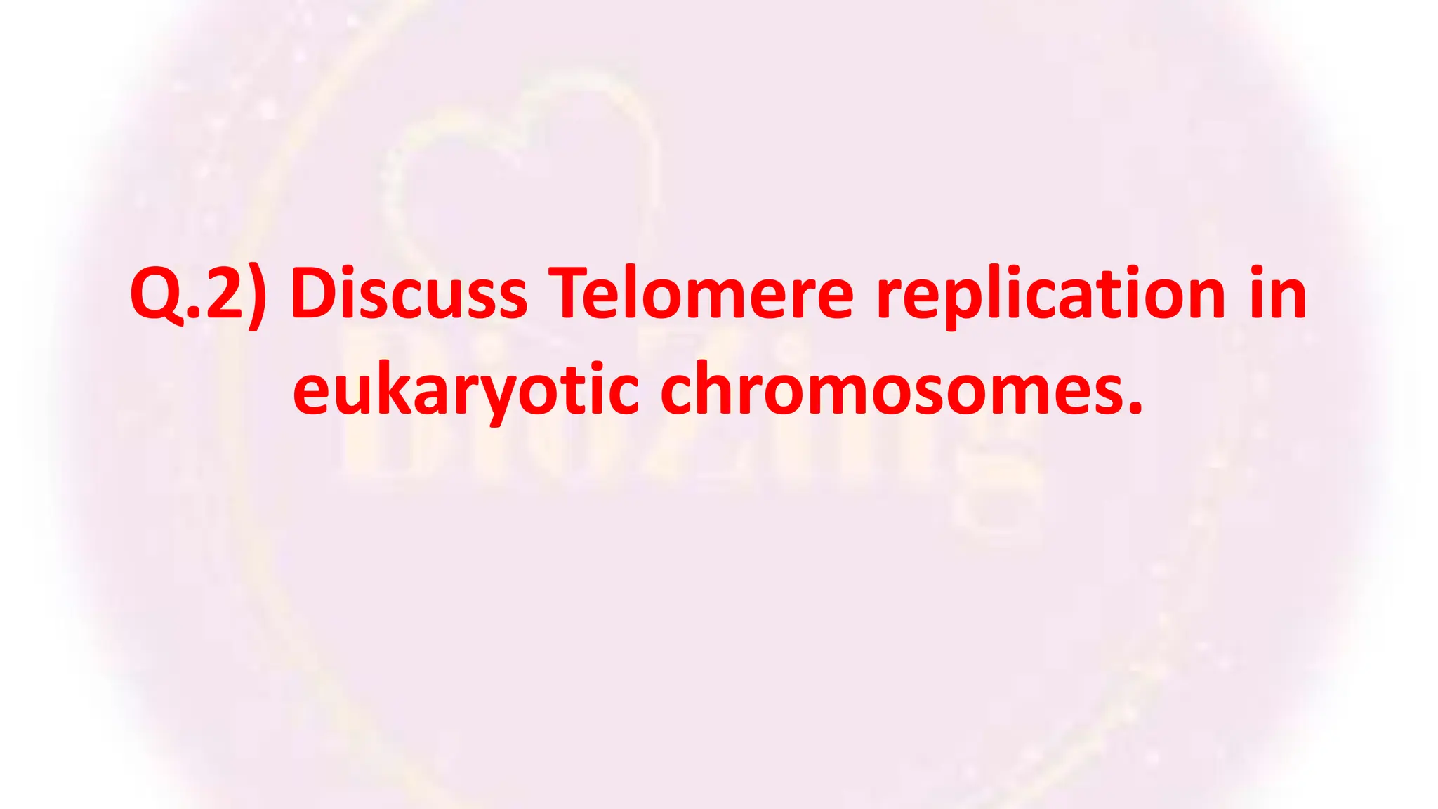 Q.2) Discuss Telomere replication in
eukaryotic chromosomes.
 
