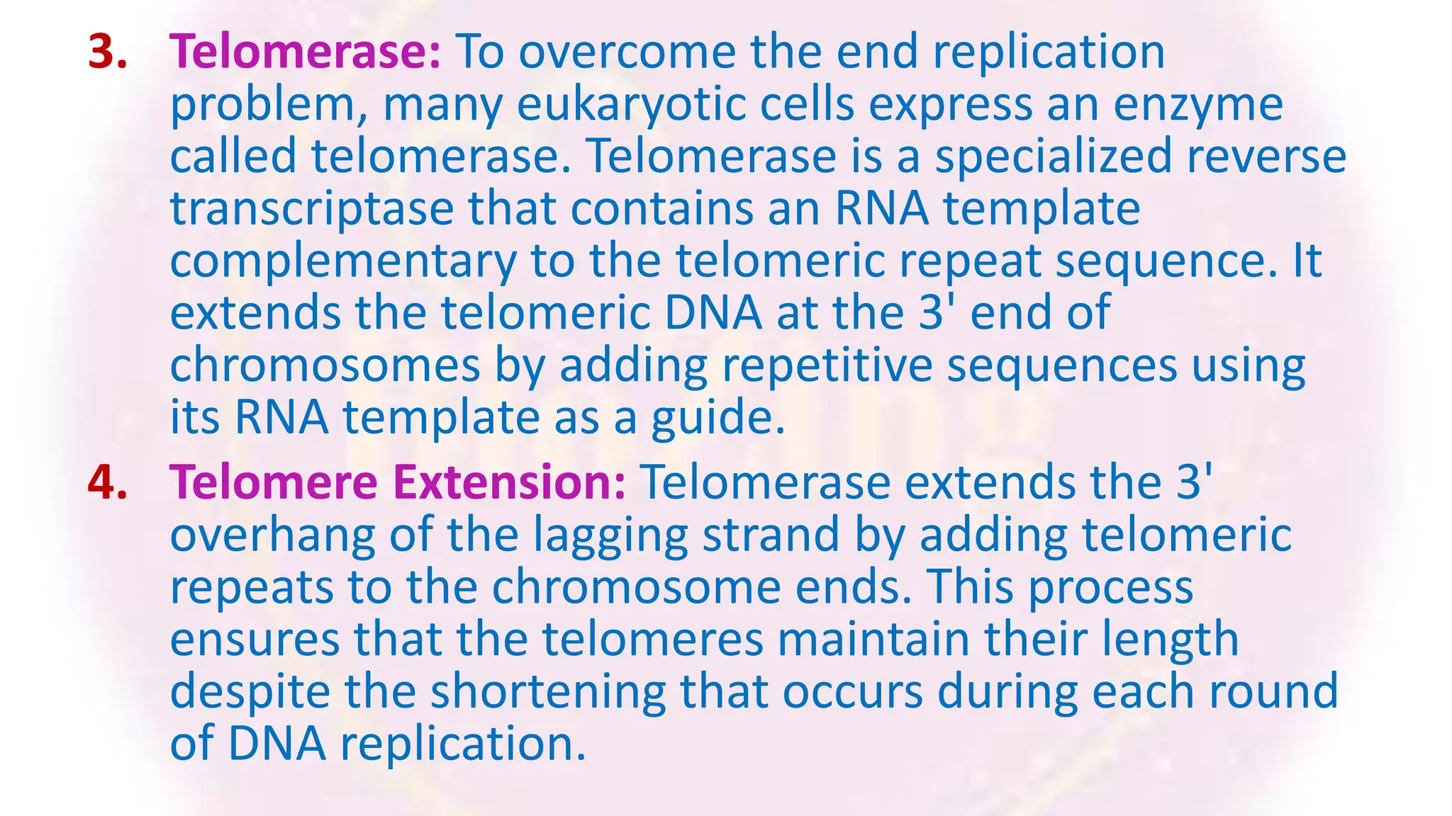 3. Telomerase: To overcome the end replication
problem, many eukaryotic cells express an enzyme
called telomerase. Telomerase is a specialized reverse
transcriptase that contains an RNA template
complementary to the telomeric repeat sequence. It
extends the telomeric DNA at the 3' end of
chromosomes by adding repetitive sequences using
its RNA template as a guide.
4. Telomere Extension: Telomerase extends the 3'
overhang of the lagging strand by adding telomeric
repeats to the chromosome ends. This process
ensures that the telomeres maintain their length
despite the shortening that occurs during each round
of DNA replication.
 