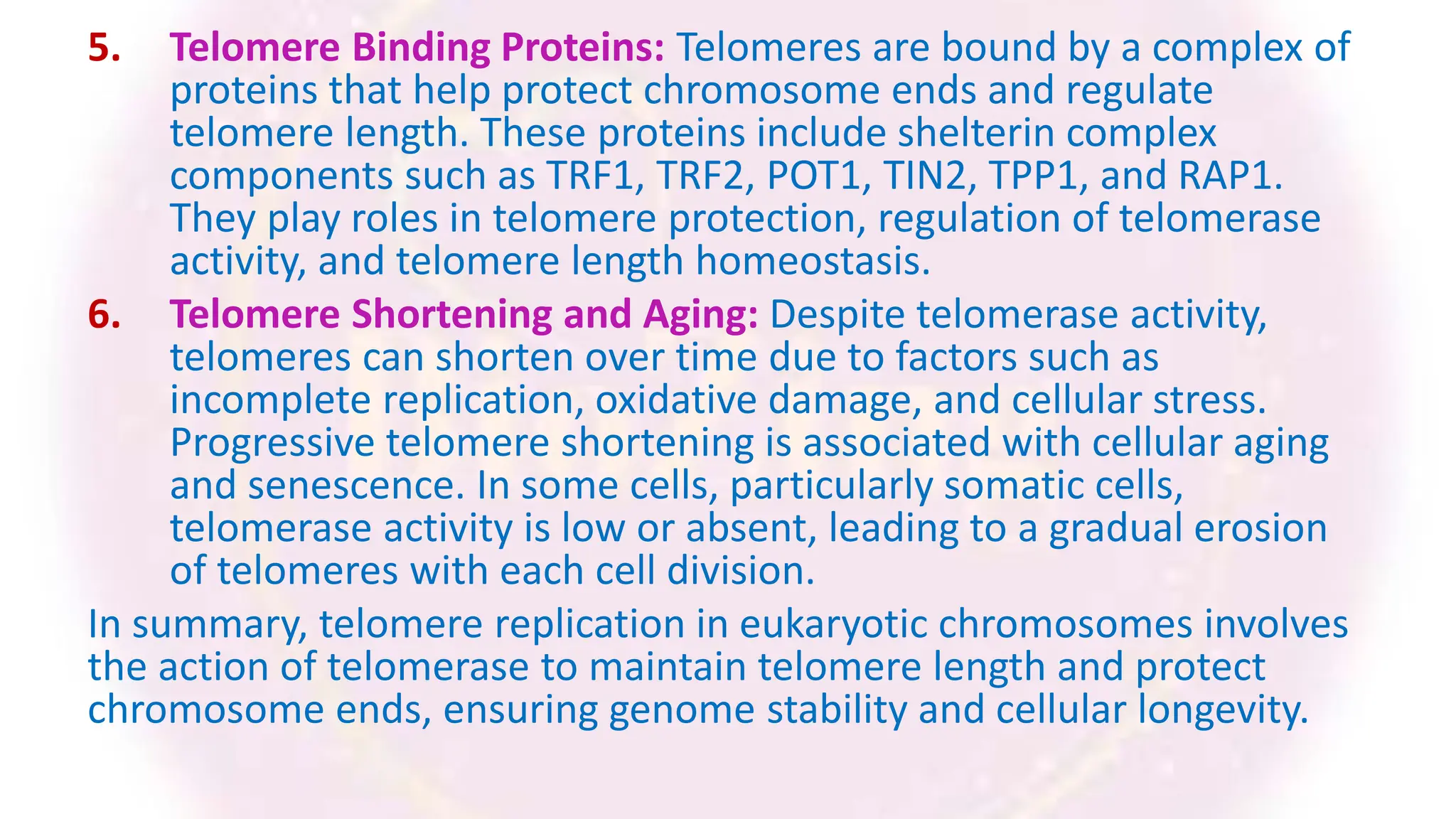 5. Telomere Binding Proteins: Telomeres are bound by a complex of
proteins that help protect chromosome ends and regulate
telomere length. These proteins include shelterin complex
components such as TRF1, TRF2, POT1, TIN2, TPP1, and RAP1.
They play roles in telomere protection, regulation of telomerase
activity, and telomere length homeostasis.
6. Telomere Shortening and Aging: Despite telomerase activity,
telomeres can shorten over time due to factors such as
incomplete replication, oxidative damage, and cellular stress.
Progressive telomere shortening is associated with cellular aging
and senescence. In some cells, particularly somatic cells,
telomerase activity is low or absent, leading to a gradual erosion
of telomeres with each cell division.
In summary, telomere replication in eukaryotic chromosomes involves
the action of telomerase to maintain telomere length and protect
chromosome ends, ensuring genome stability and cellular longevity.
 