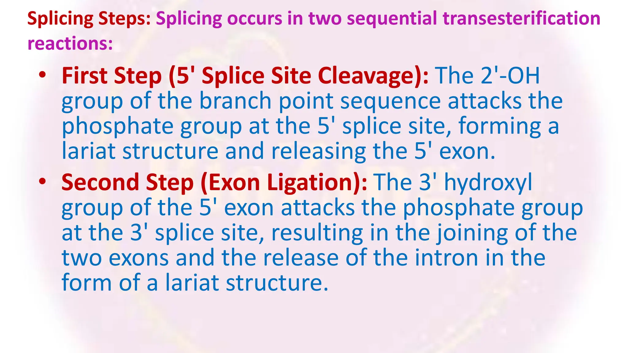 Splicing Steps: Splicing occurs in two sequential transesterification
reactions:
• First Step (5' Splice Site Cleavage): The 2'-OH
group of the branch point sequence attacks the
phosphate group at the 5' splice site, forming a
lariat structure and releasing the 5' exon.
• Second Step (Exon Ligation): The 3' hydroxyl
group of the 5' exon attacks the phosphate group
at the 3' splice site, resulting in the joining of the
two exons and the release of the intron in the
form of a lariat structure.
 