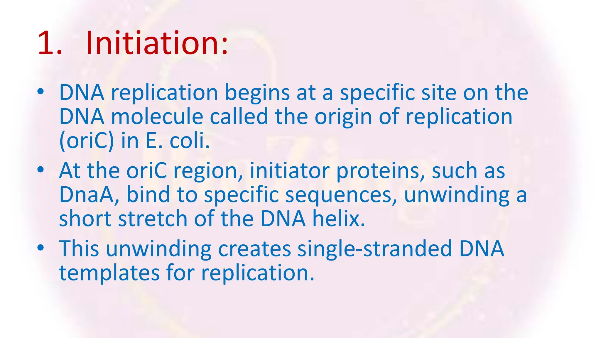 1. Initiation:
• DNA replication begins at a specific site on the
DNA molecule called the origin of replication
(oriC) in E. coli.
• At the oriC region, initiator proteins, such as
DnaA, bind to specific sequences, unwinding a
short stretch of the DNA helix.
• This unwinding creates single-stranded DNA
templates for replication.
 