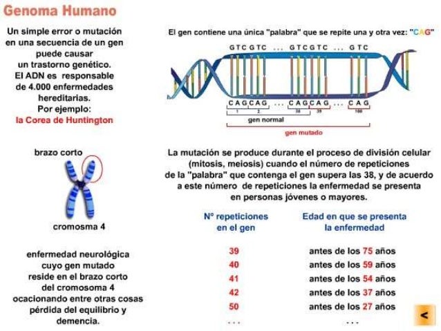 Enfermerdad de Huntington Enfermerdad de Huntington