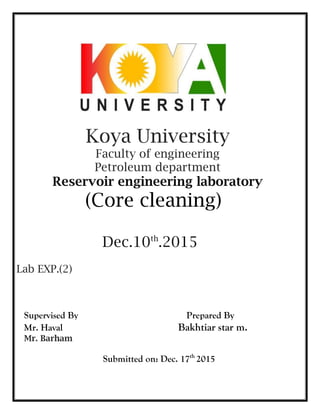 Core cleaning (reservoir engineering) | PDF