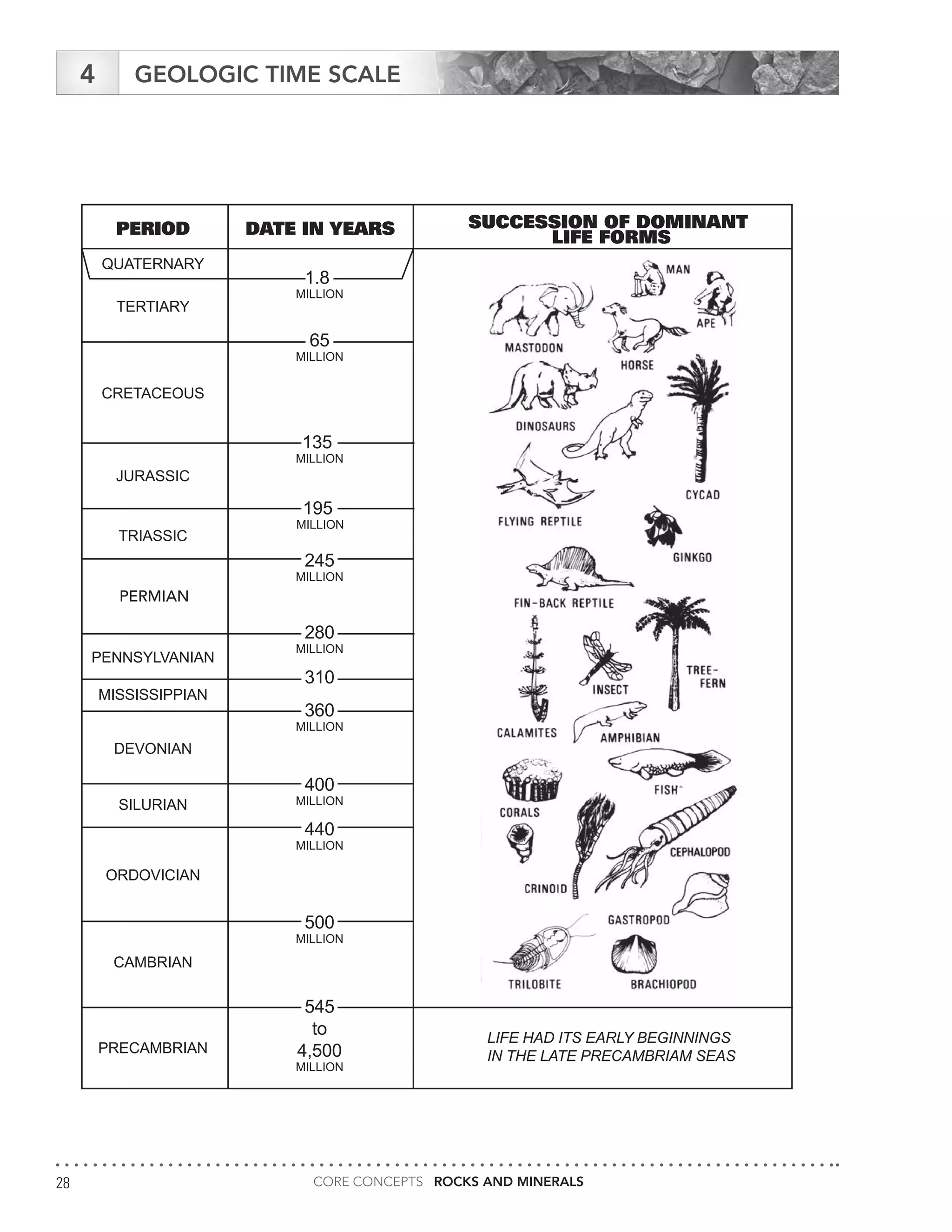 CORE CONCEPTS ROCKS AND MINERALS28
TERTIARY
QUATERNARY
PERIOD DATE IN YEARS SUCCESSION OF DOMINANT
LIFE FORMS
65
MILLION
CRETACEOUS
135
MILLION
JURASSIC
195
MILLION
TRIASSIC
245
MILLION
PREMIAN
280
MILLION
PENNSYLVANIAN
310
MISSISSIPPIAN
360
MILLION
DEVONIAN
400
MILLIONSILURIAN
440
MILLION
ORDOVICIAN
500
MILLION
CAMBRIAN
545
to
4,500
MILLION
PRECAMBRIAN
LIFE HAD ITS EARLY BEGINNINGS
IN THE LATE PRECAMBRIAM SEAS
1.8
MILLION
Rock Strata and Fossils
Mining Matters II N The Earth’s Crust Lesson 4.2
Geologic Time Scale
GEOLOGIC TIME SCALE4
PERMIAN
 