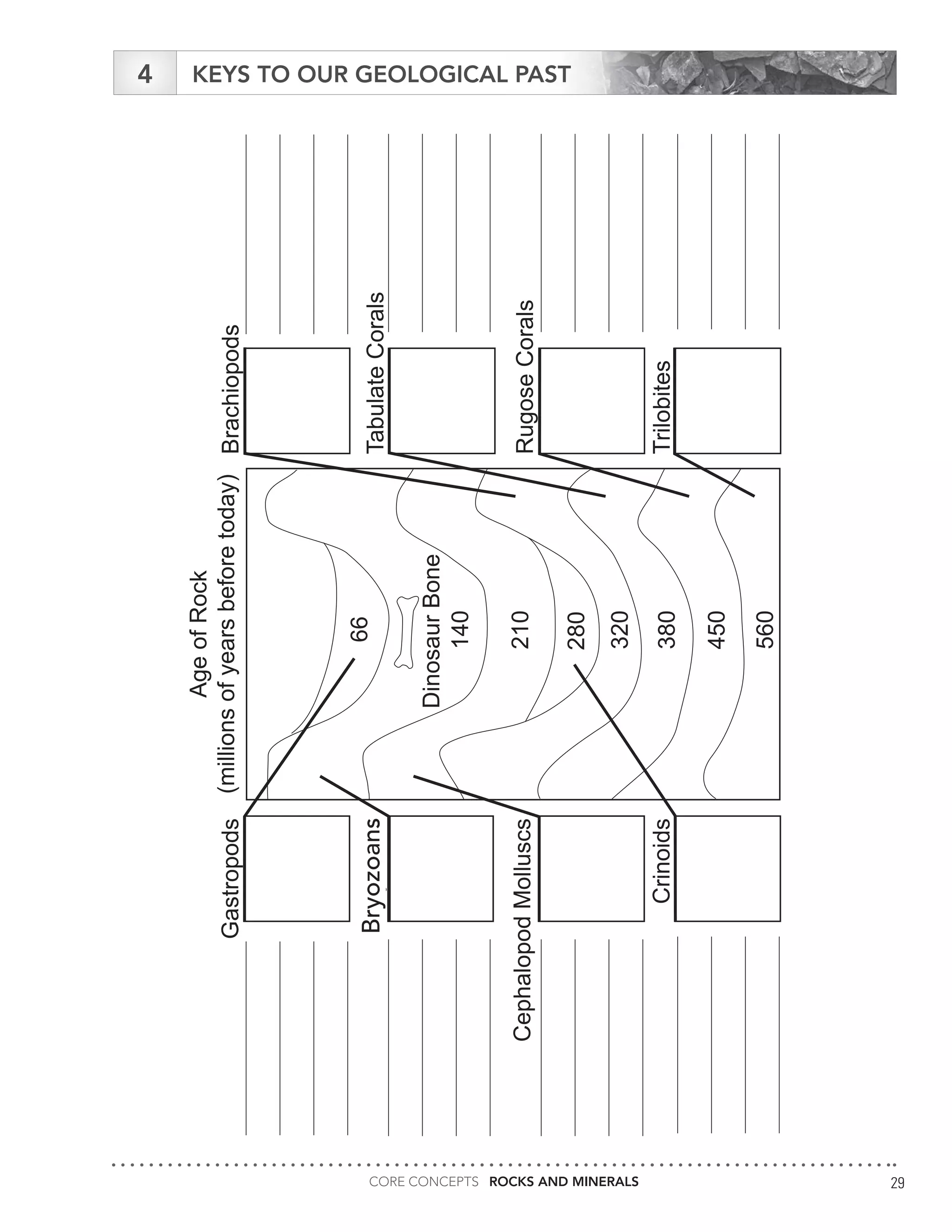 CORE CONCEPTS ROCKS AND MINERALS 29
RockStrataandFossils:KeystoourGeologicalPast
MiningMattersIINTheEarth’sCrustLesson4.2
Crinoids
CephalopodMolluscs
Bryzoans
Gastropods
Trilobites
RugoseCorals
TabulateCorals
Brachiopods
AgeofRock
(millionsofyearsbeforetoday)
560
450
380
320
210
140
66
DinosaurBone
280
KEYS TO OUR GEOLOGICAL PAST4
Bryozoans
 