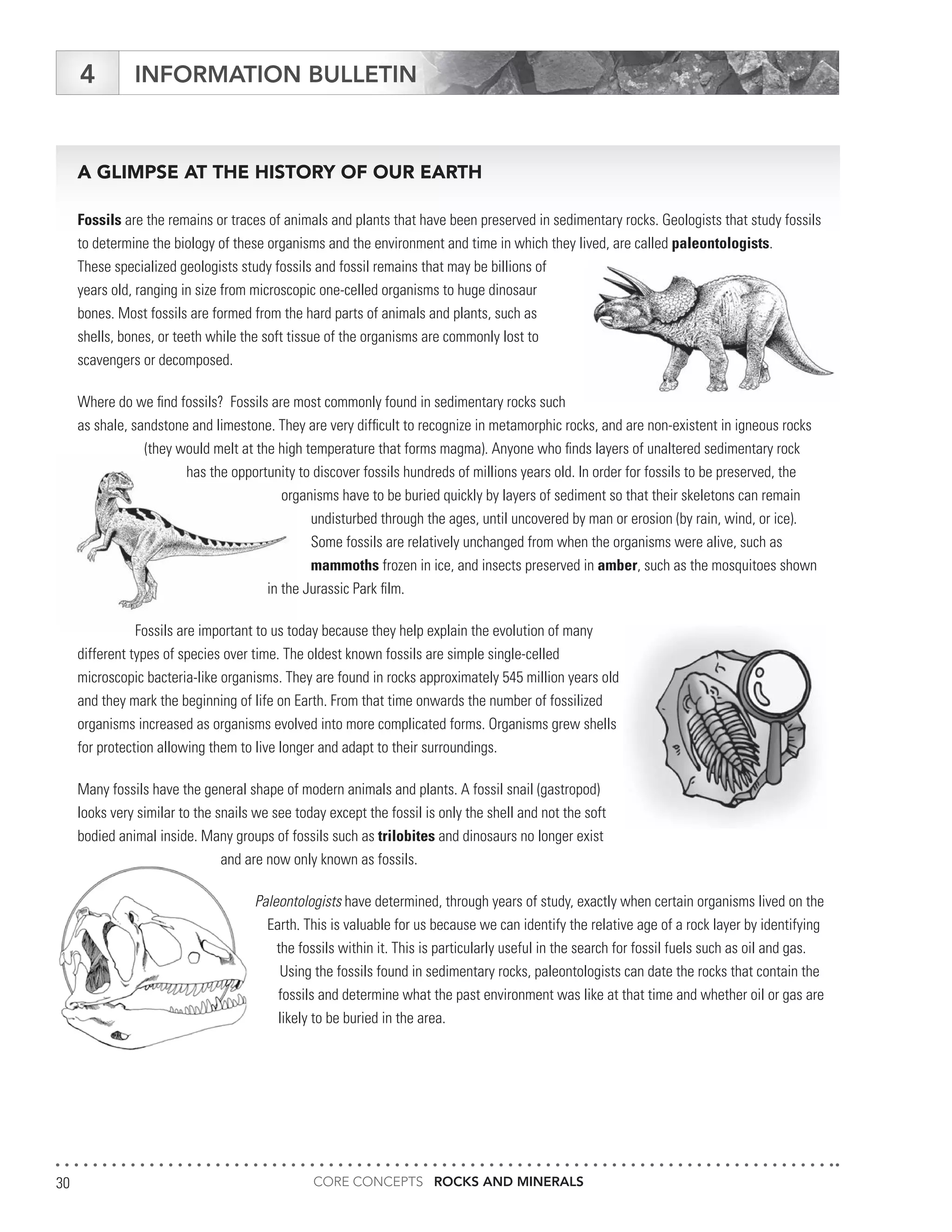 CORE CONCEPTS ROCKS AND MINERALS30
INFORMATION BULLETIN4
A GLIMPSE AT THE HISTORY OF OUR EARTH
Fossils are the remains or traces of animals and plants that have been preserved in sedimentary rocks. Geologists that study fossils
to determine the biology of these organisms and the environment and time in which they lived, are called paleontologists.
These specialized geologists study fossils and fossil remains that may be billions of
years old, ranging in size from microscopic one-celled organisms to huge dinosaur
bones. Most fossils are formed from the hard parts of animals and plants, such as
shells, bones, or teeth while the soft tissue of the organisms are commonly lost to
scavengers or decomposed.
Where do we find fossils? Fossils are most commonly found in sedimentary rocks such
as shale, sandstone and limestone. They are very difficult to recognize in metamorphic rocks, and are non-existent in igneous rocks
(they would melt at the high temperature that forms magma). Anyone who finds layers of unaltered sedimentary rock
has the opportunity to discover fossils hundreds of millions years old. In order for fossils to be preserved, the
organisms have to be buried quickly by layers of sediment so that their skeletons can remain
undisturbed through the ages, until uncovered by man or erosion (by rain, wind, or ice).
Some fossils are relatively unchanged from when the organisms were alive, such as
mammoths frozen in ice, and insects preserved in amber, such as the mosquitoes shown
in the Jurassic Park film.
Fossils are important to us today because they help explain the evolution of many
different types of species over time. The oldest known fossils are simple single-celled
microscopic bacteria-like organisms. They are found in rocks approximately 545 million years old
and they mark the beginning of life on Earth. From that time onwards the number of fossilized
organisms increased as organisms evolved into more complicated forms. Organisms grew shells
for protection allowing them to live longer and adapt to their surroundings.
Many fossils have the general shape of modern animals and plants. A fossil snail (gastropod)
looks very similar to the snails we see today except the fossil is only the shell and not the soft
bodied animal inside. Many groups of fossils such as trilobites and dinosaurs no longer exist
and are now only known as fossils.
Paleontologists have determined, through years of study, exactly when certain organisms lived on the
Earth. This is valuable for us because we can identify the relative age of a rock layer by identifying
the fossils within it. This is particularly useful in the search for fossil fuels such as oil and gas.
Using the fossils found in sedimentary rocks, paleontologists can date the rocks that contain the
fossils and determine what the past environment was like at that time and whether oil or gas are
likely to be buried in the area.
 