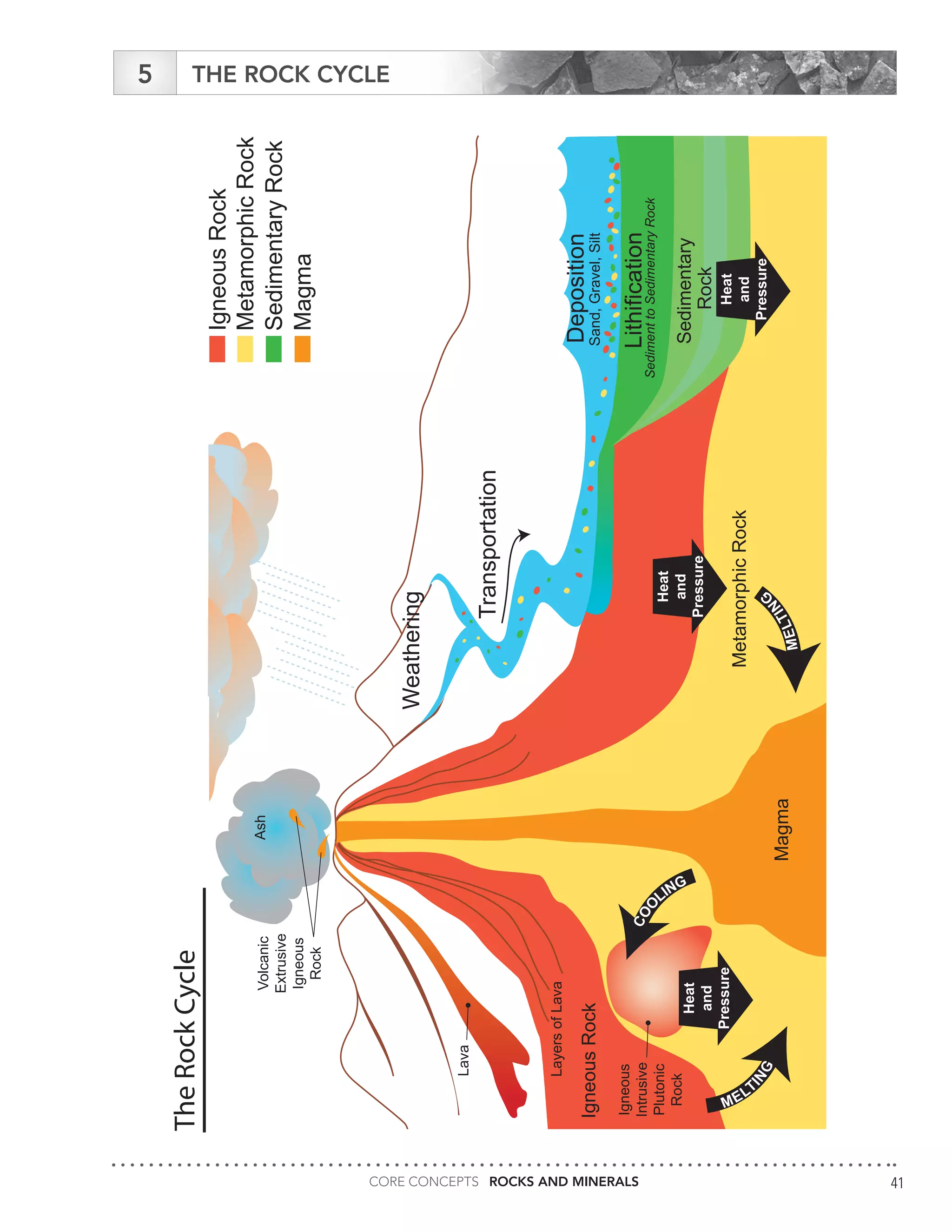 CORE CONCEPTS ROCKS AND MINERALS 41
TheRockCycle
IgneousRock
MetamorphicRock
SedimentaryRock
Magma
Magma
IgneousRock
GNI
TLEM
COO
LING
MetamorphicRock
Igneous
Intrusive
Plutonic
Rock
Volcanic
Extrusive
Igneous
Rock
Ash
Heat
and
Pressure
Lava
Heat
and
Pressure
Weathering
Sedimentary
Rock
Deposition
Transportation
Heat
and
Pressure
Lithification
SedimenttoSedimentaryRock
LayersofLava
Sand,Gravel,Silt
MELTIN
G
THE ROCK CYCLE5
 