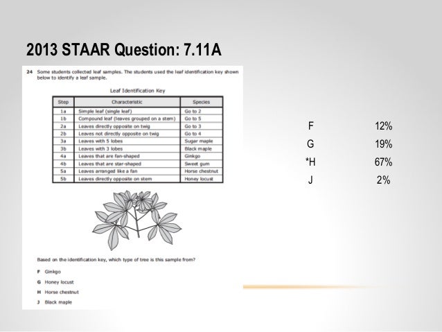 grade sheet 15 questions for Content Grade 7 15 Core Keys Coaching Dichotomous 14 grade sheet 15 questions for Content Grade 7 15 Core Keys Coaching Dichotomous 14
