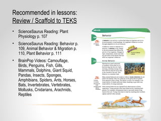 Recommended in lessons:
Review / Scaffold to TEKS
• ScienceSaurus Reading: Plant
Physiology p. 107
• ScienceSaurus Reading: Behavior p.
109, Animal Behavior & Migration p.
110, Plant Behavior p. 111
• BrainPop Videos: Camouflage,
Birds, Penguins, Fish, Gills,
Mammals, Dolphins, Giant Squid,
Pandas, Insects, Sponges,
Amphibians, Spiders, Ants, Horses,
Bats, Invertebrates, Vertebrates,
Mollusks, Cnidarians, Arachnids,
Reptiles
 