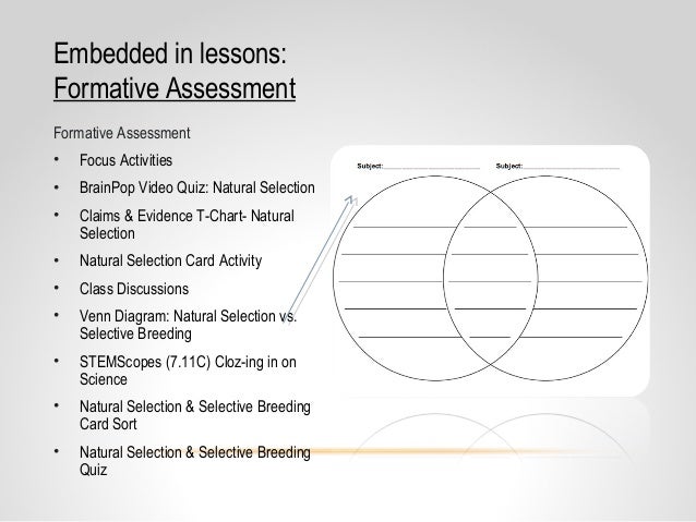 2 grade activities english Selective Grade Natural Breeding Selection Core 7 Coaching Content & 2 grade activities english Selective Grade Natural Breeding Selection Core 7 Coaching Content &
