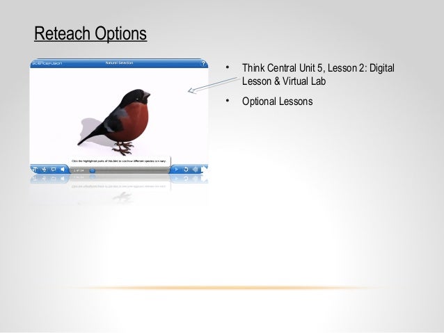 Core Content Coaching Grade 7 Natural Selection ... venn diagram natural selection and selective breeding 