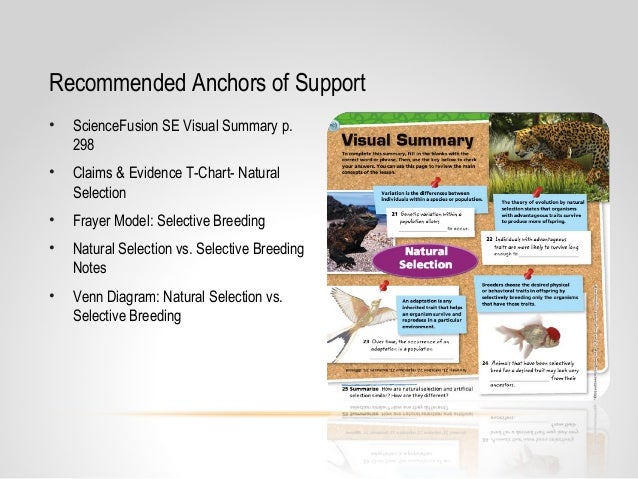Natural Selection And Selective Breeding Venn Diagram Natural Selection And Selective Breeding Venn Diagram