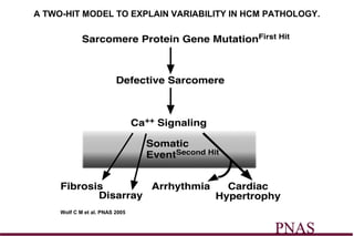 A TWO-HIT MODEL TO EXPLAIN VARIABILITY IN HCM PATHOLOGY.




     Wolf C M et al. PNAS 2005
 