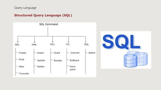 Query Language
Structured Query Language (SQL)
 