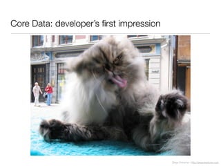 Diego Freniche / http://www.freniche.com
Core Data: developer’s ﬁrst impression
 