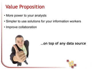 A few words about Panorama Software