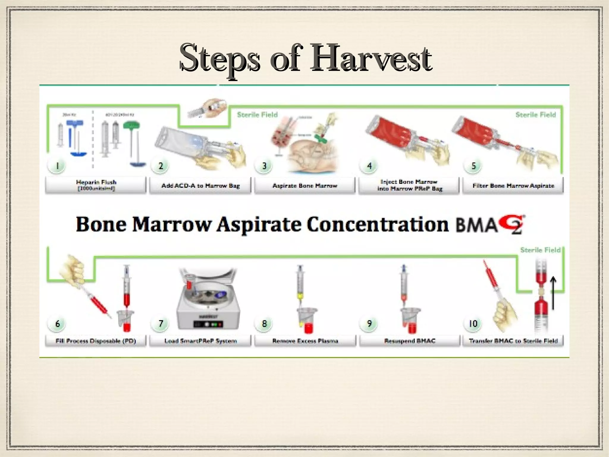 SStteeppss ooff HHaarrvveesstt 
 