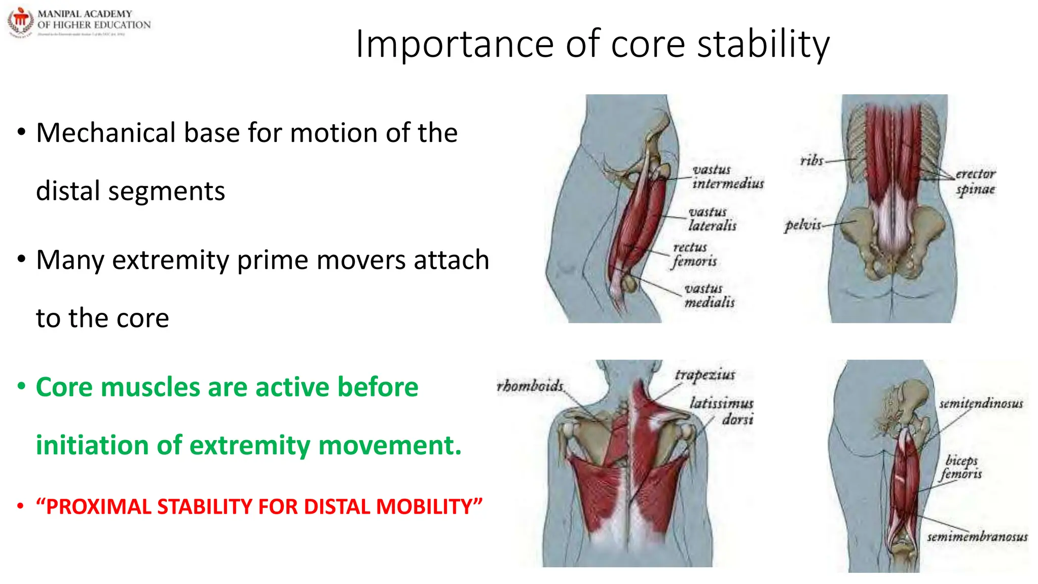 Importance of core stability
• Mechanical base for motion of the
distal segments
• Many extremity prime movers attach
to the core
• Core muscles are active before
initiation of extremity movement.
• “PROXIMAL STABILITY FOR DISTAL MOBILITY”
 
