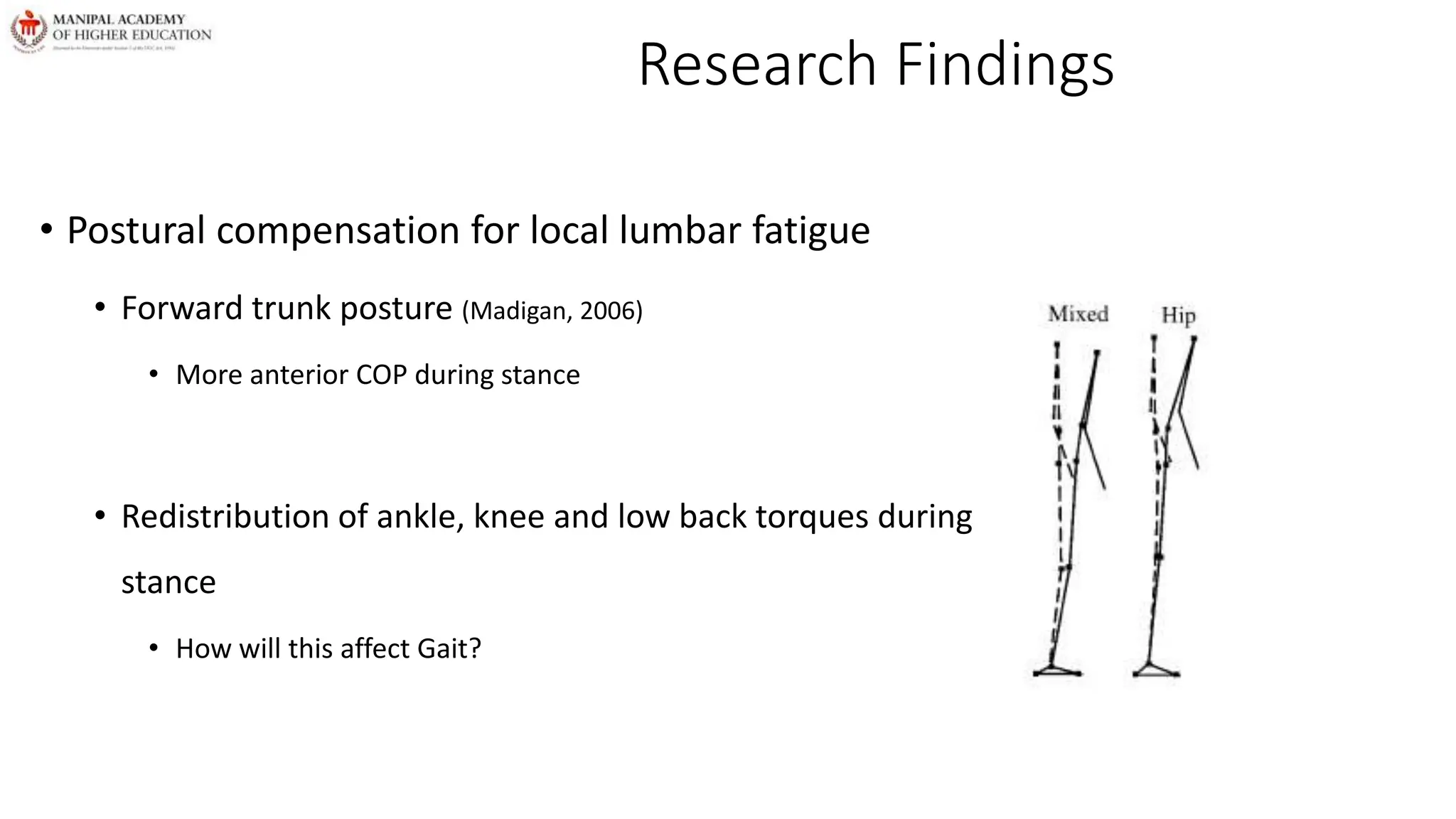 Research Findings
• Postural compensation for local lumbar fatigue
• Forward trunk posture (Madigan, 2006)
• More anterior COP during stance
• Redistribution of ankle, knee and low back torques during
stance
• How will this affect Gait?
 