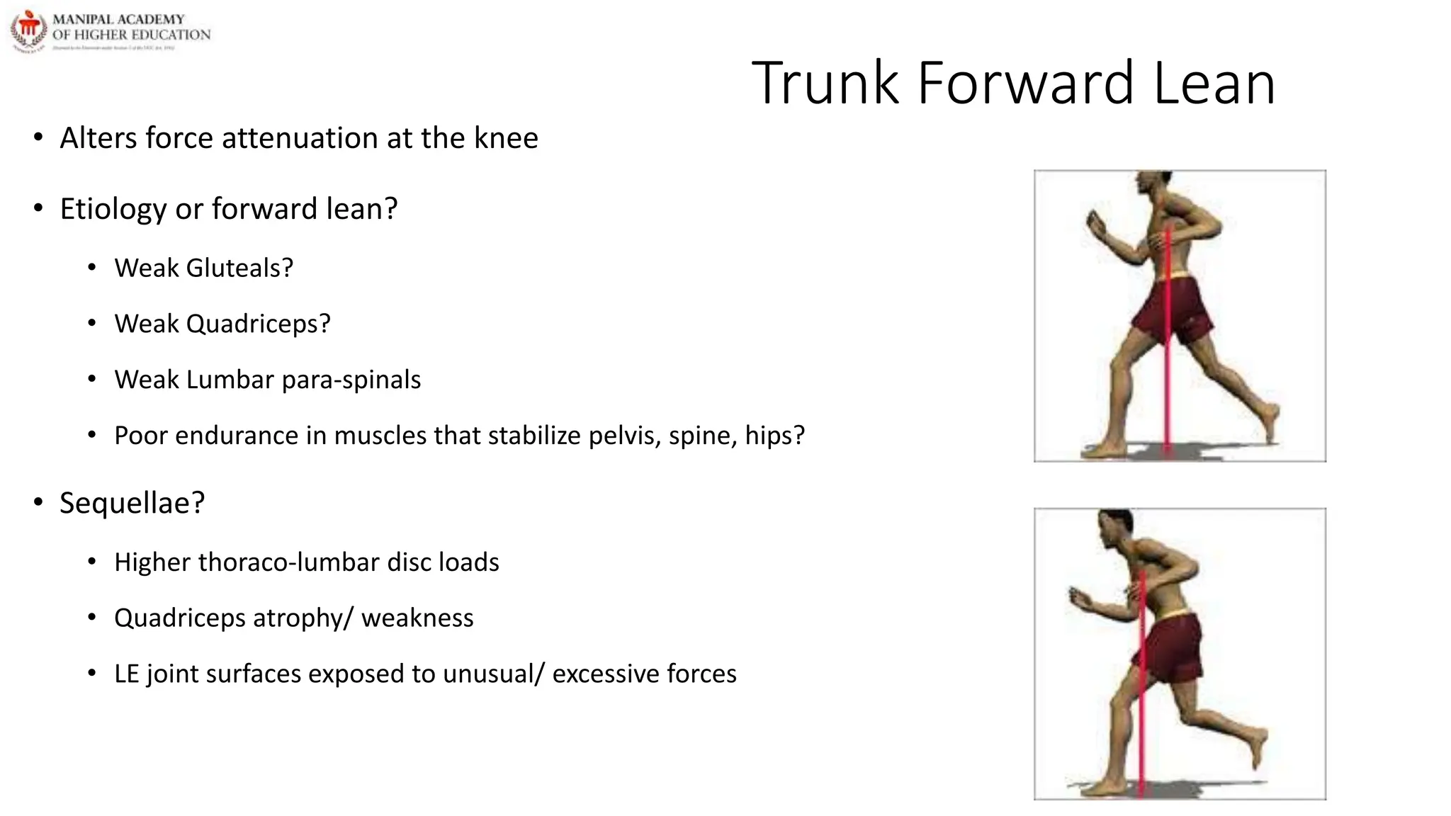 Trunk Forward Lean
• Alters force attenuation at the knee
• Etiology or forward lean?
• Weak Gluteals?
• Weak Quadriceps?
• Weak Lumbar para-spinals
• Poor endurance in muscles that stabilize pelvis, spine, hips?
• Sequellae?
• Higher thoraco-lumbar disc loads
• Quadriceps atrophy/ weakness
• LE joint surfaces exposed to unusual/ excessive forces
 
