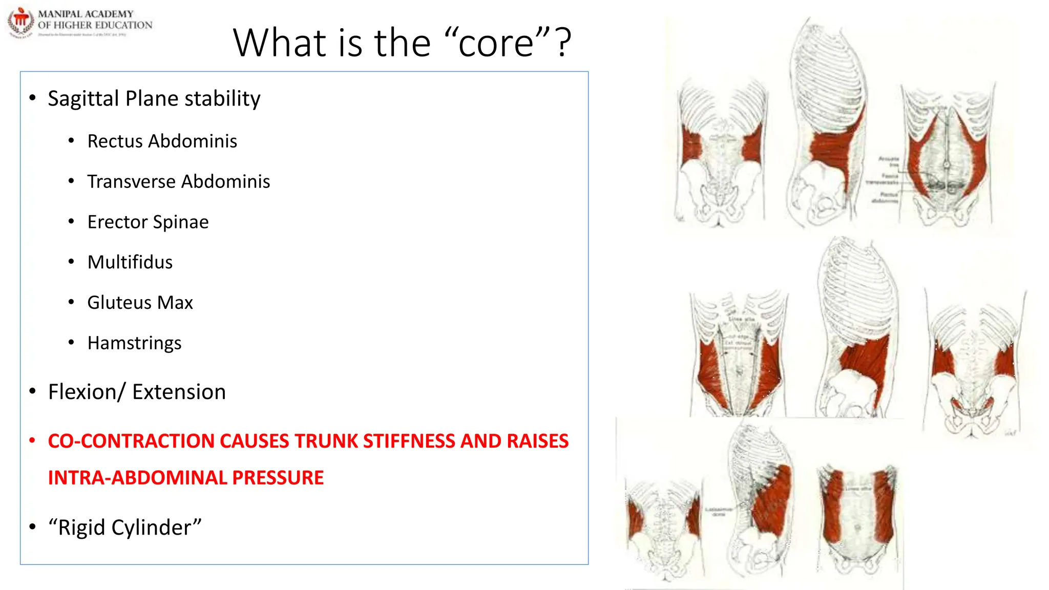 What is the “core”?
• Sagittal Plane stability
• Rectus Abdominis
• Transverse Abdominis
• Erector Spinae
• Multifidus
• Gluteus Max
• Hamstrings
• Flexion/ Extension
• CO-CONTRACTION CAUSES TRUNK STIFFNESS AND RAISES
INTRA-ABDOMINAL PRESSURE
• “Rigid Cylinder”
 