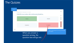 The Quizzes
When you answer a
question wrong, the
question box will go red…
 