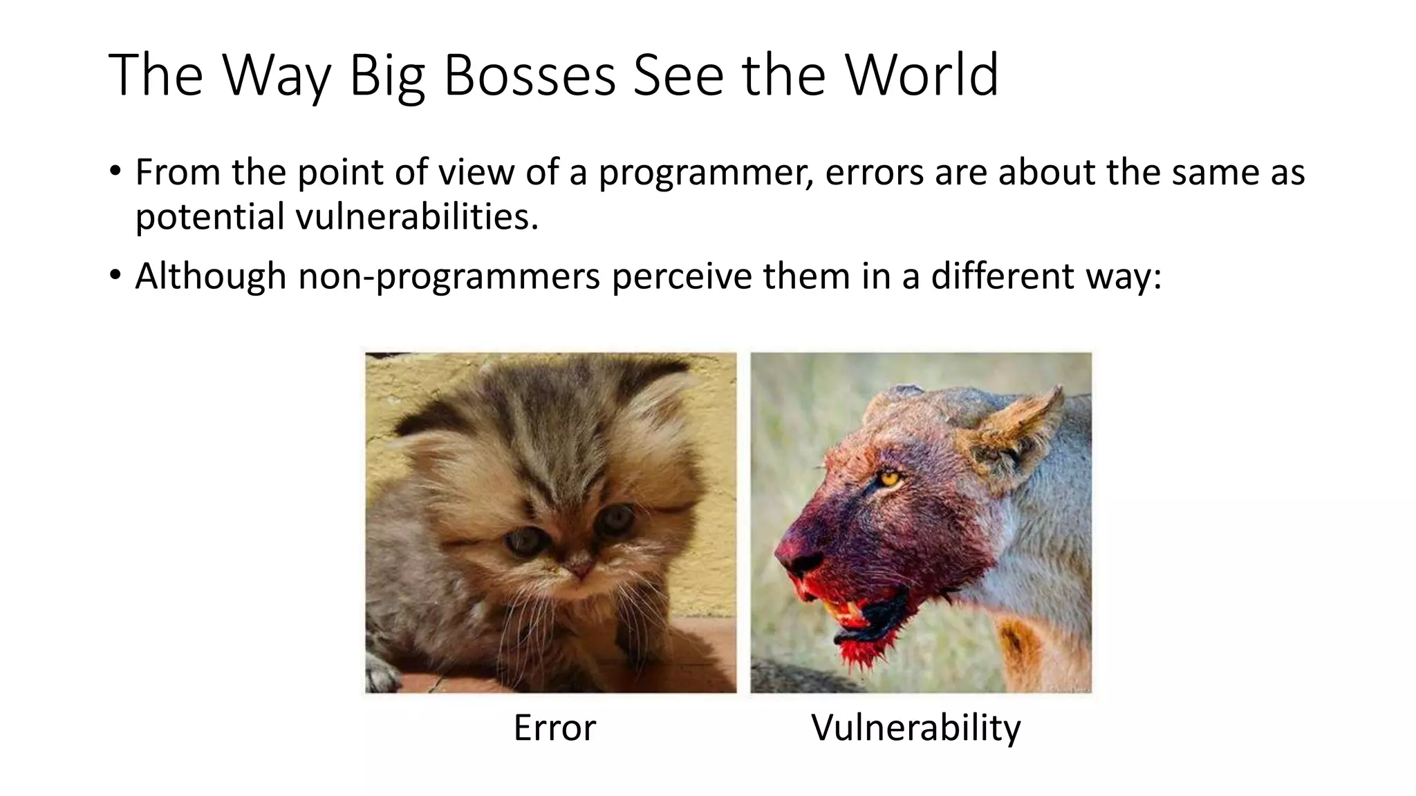 Error Vulnerability
The Way Big Bosses See the World
• From the point of view of a programmer, errors are about the same as
potential vulnerabilities.
• Although non-programmers perceive them in a different way:
 