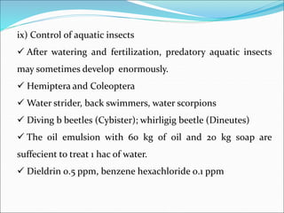 Nursery pond management of Fishes | PPT