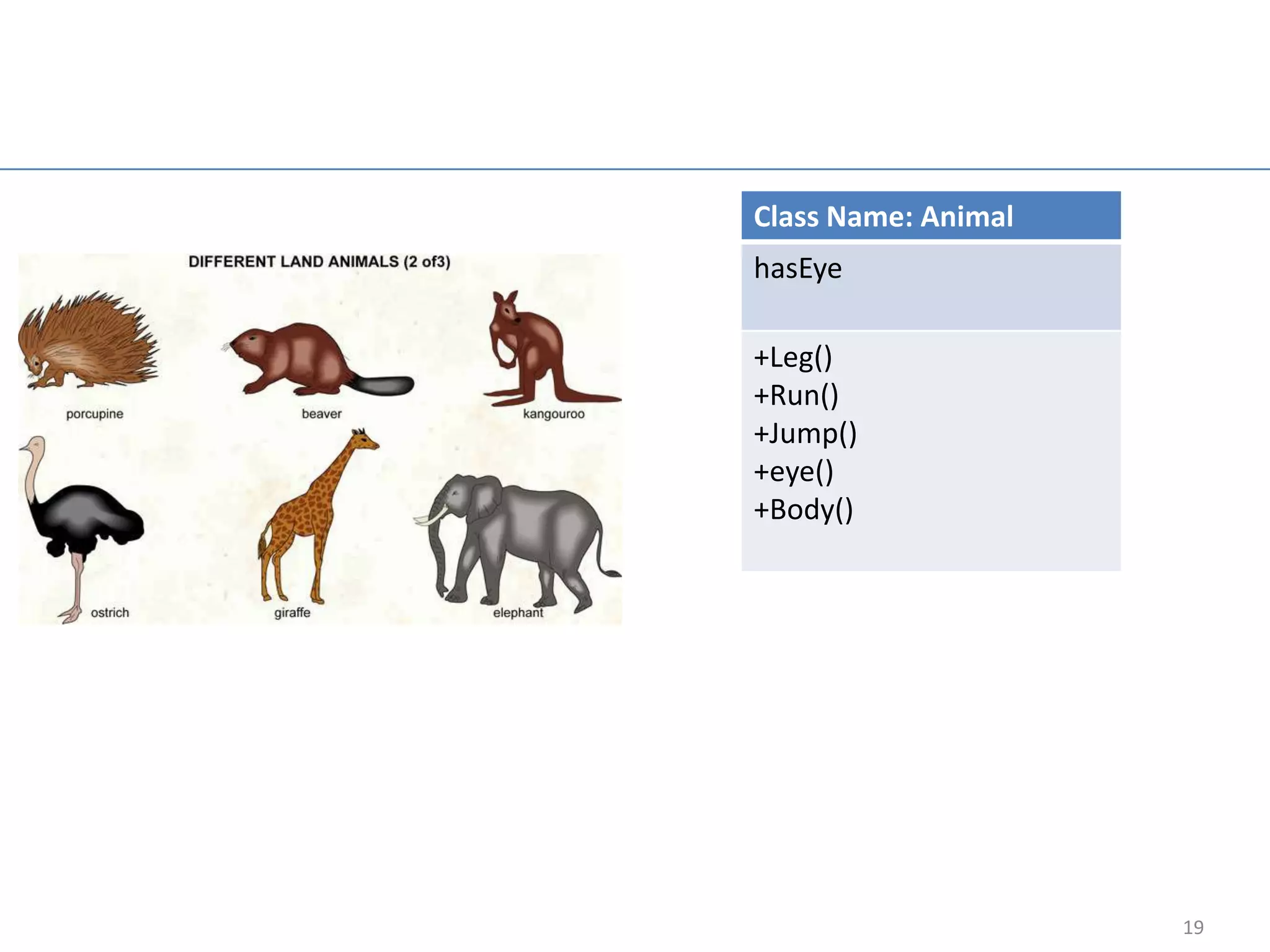 Class Name: Animal
hasEye

+Leg()
+Run()
+Jump()
+eye()
+Body()




                     19
 