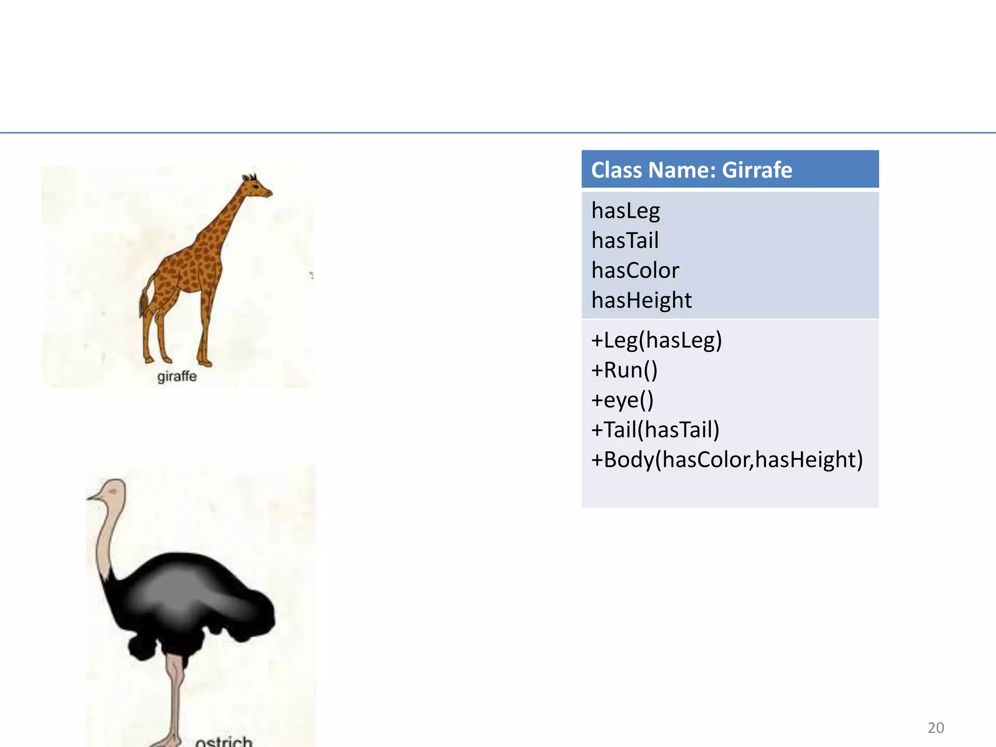 Class Name: Girrafe
hasLeg
hasTail
hasColor
hasHeight
+Leg(hasLeg)
+Run()
+eye()
+Tail(hasTail)
+Body(hasColor,hasHeight)




                            20
 