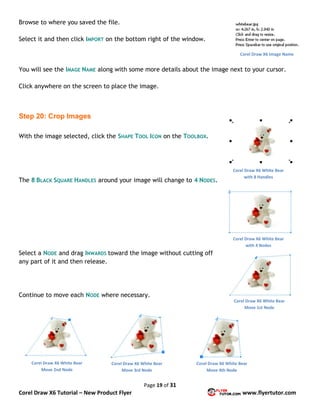 Page 19 of 31
Corel Draw X6 Tutorial – New Product Flyer www.flyertutor.com
Browse to where you saved the file.
Select it and then click IMPORT on the bottom right of the window.
You will see the IMAGE NAME along with some more details about the image next to your cursor.
Click anywhere on the screen to place the image.
Step 20: Crop Images
With the image selected, click the SHAPE TOOL ICON on the TOOLBOX.
The 8 BLACK SQUARE HANDLES around your image will change to 4 NODES.
Select a NODE and drag INWARDS toward the image without cutting off
any part of it and then release.
Continue to move each NODE where necessary.
Corel Draw X6 Image Name
Corel Draw X6 White Bear
with 8 Handles
Corel Draw X6 White Bear
with 4 Nodes
Corel Draw X6 White Bear
Move 1st Node
Corel Draw X6 White Bear
Move 2nd Node
Corel Draw X6 White Bear
Move 3rd Node
Corel Draw X6 White Bear
Move 4th Node
 
