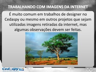 É muito comum em trabalhos de designer no
Cedaspy ou mesmo em outros projetos que sejam
utilizadas imagens retiradas da internet, mas
algumas observações devem ser feitas.
 