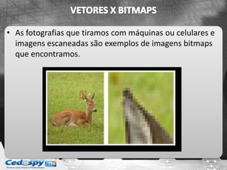 • As fotografias que tiramos com máquinas ou celulares e
imagens escaneadas são exemplos de imagens bitmaps
que encontramos.
 