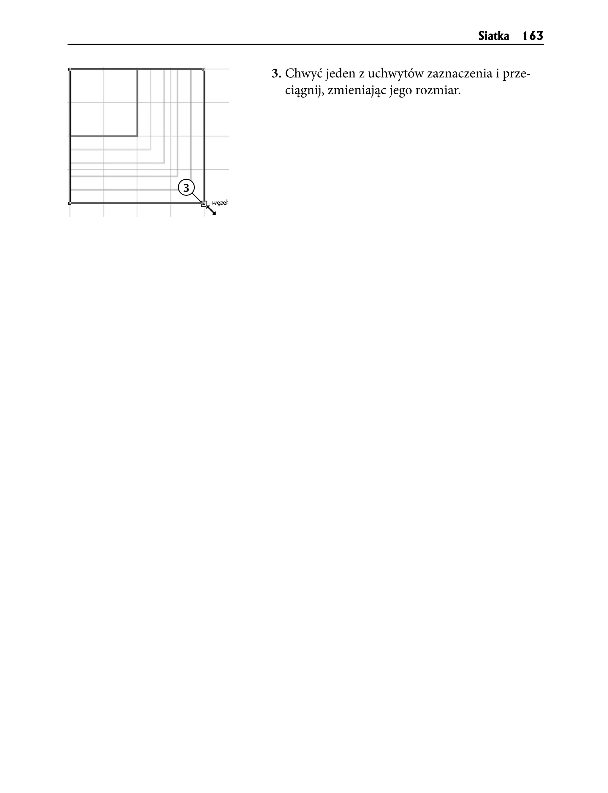 Siatka   163


    3. Chwyć jeden z uchwytów zaznaczenia i prze-
       ciągnij, zmieniając jego rozmiar.




3
 