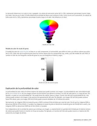 Operaciones con colores | 257
La saturación determina si un color es vivo o apagado. Los valores de saturación varían de 0 a 100 y representan porcentajes (cuanto mayor
es el valor, más vivo es el color). El brillo determina la cantidad de blanco que contiene el color. Como ocurre con la saturación, los valores de
brillo varían de 0 a 100 y representan porcentajes (cuanto mayor es el valor, más brillante es el color).
Modelo de color HSB.
Modelo de color de escala de grises
El modelo de color de escala de grises se basa en un solo componente, la luminosidad, para definir el color y se mide en valores que varían
de 0 a 255. Cada color de la escala de grises tiene los mismos valores para los componentes rojo, verde y azul del modelo de color RGB. Al
cambiar el color de una fotografía a escala de grises se crea una fotografía en blanco y negro.
Modelo de color de escala de grises.
Explicación de la profundidad de color
La profundidad de color indica el número máximo de colores que puede contener una imagen. La profundidad de color viene determinada
por la profundidad de bits de una imagen (número de bits binarios que definen la sombra o el color de cada píxel en un mapa de bits). Por
ejemplo, un píxel con una profundidad de 1 bit puede tener dos valores: blanco y negro. Cuanto más alta sea la profundidad de bit, más
colores puede contener una imagen y más precisa es la representación del color. Por ejemplo, una imagen GIF de 8 bits puede contener
hasta 256 colores, pero una imagen JPEG de 24 bits puede contener alrededor de 16 millones de colores.
Normalmente, las imágenes RGB, de escala de grises y CMYK contienen 8 bits de datos por canal de color. De ahí que las imágenes RGB se
denominen RGB de 24 bits (8 bits x 3 canales), las imágenes en escala de grises se denominen escala de grises de 8 bits(8 bits x canal), y las
imágenes CMYK se denominen CMYK de 32 bits (8 bits x 4 canales).
Con independencia de la cantidad de colores que contenga una imagen, su representación en pantalla está limitada por el máximo número
de colores que puede mostrar el monitor en el que se visualiza. Por ejemplo, un monitor de 8 bits solo puede mostrar un máximo de 256
colores de una imagen de 24 bits.
 