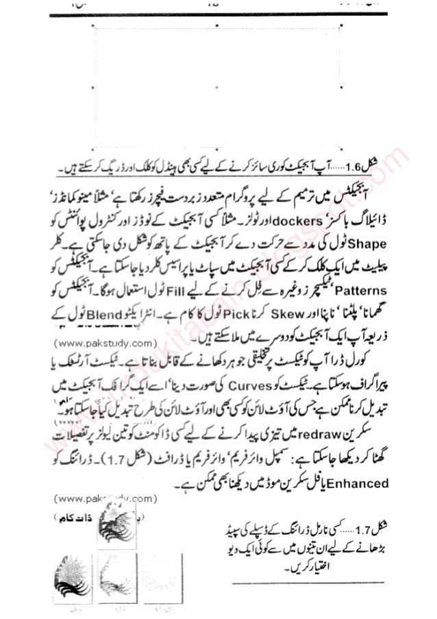 Corel draw 11 (urdu book)