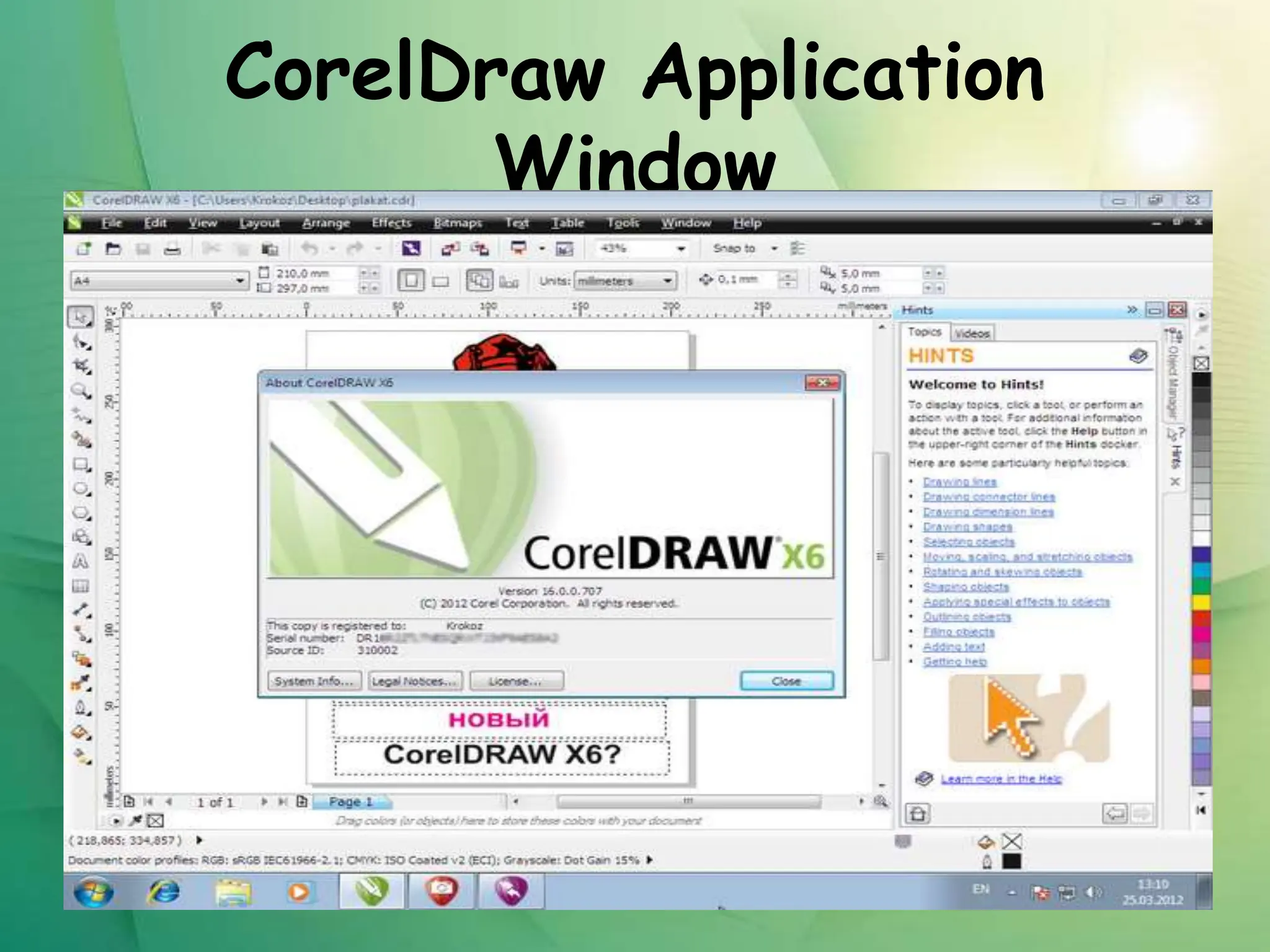 CorelDraw Application
Window
 