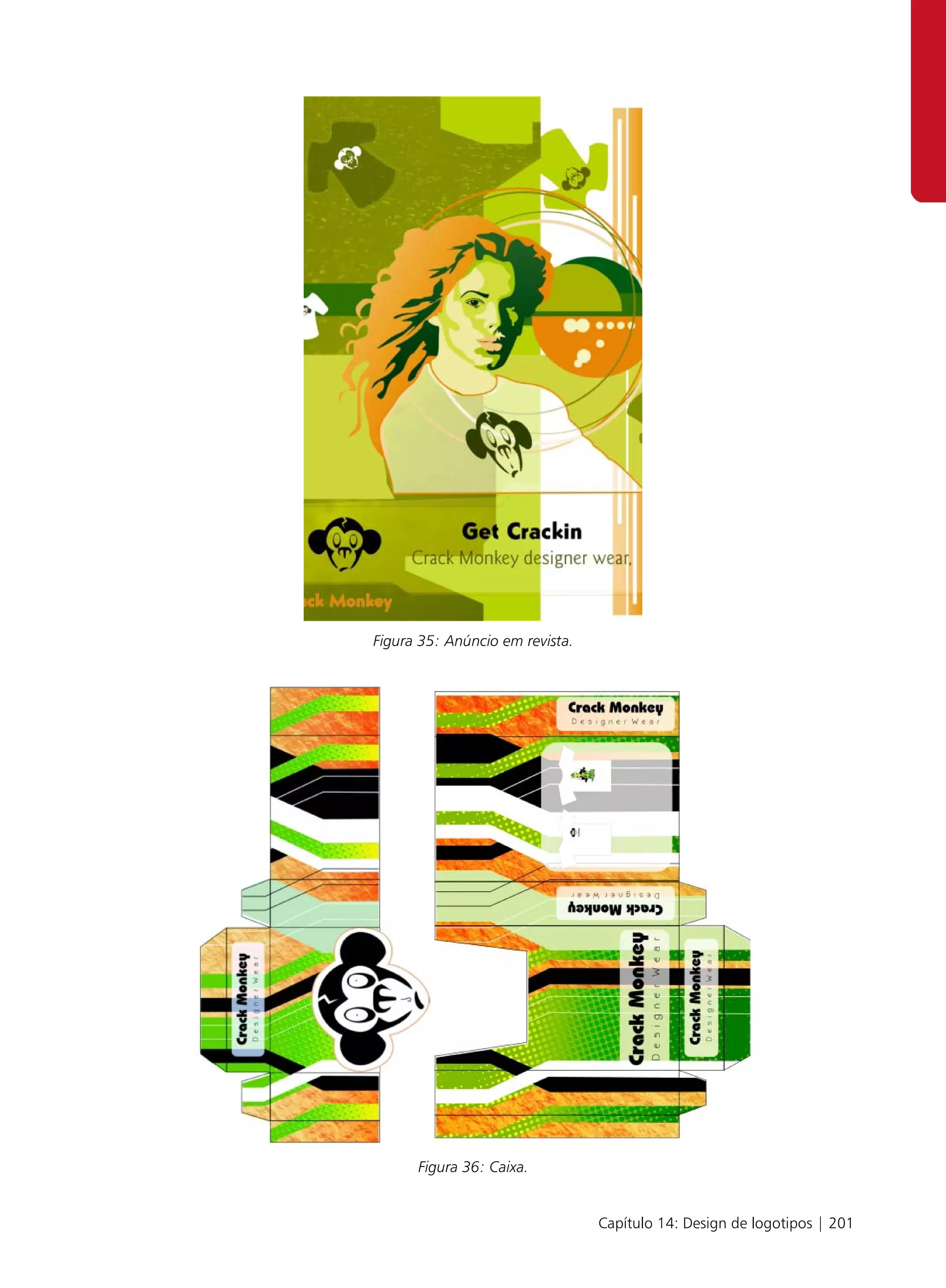 Figura 35: Anúncio em revista.




      Figura 36: Caixa.


                                 Capítulo 14: Design de logotipos | 201
 