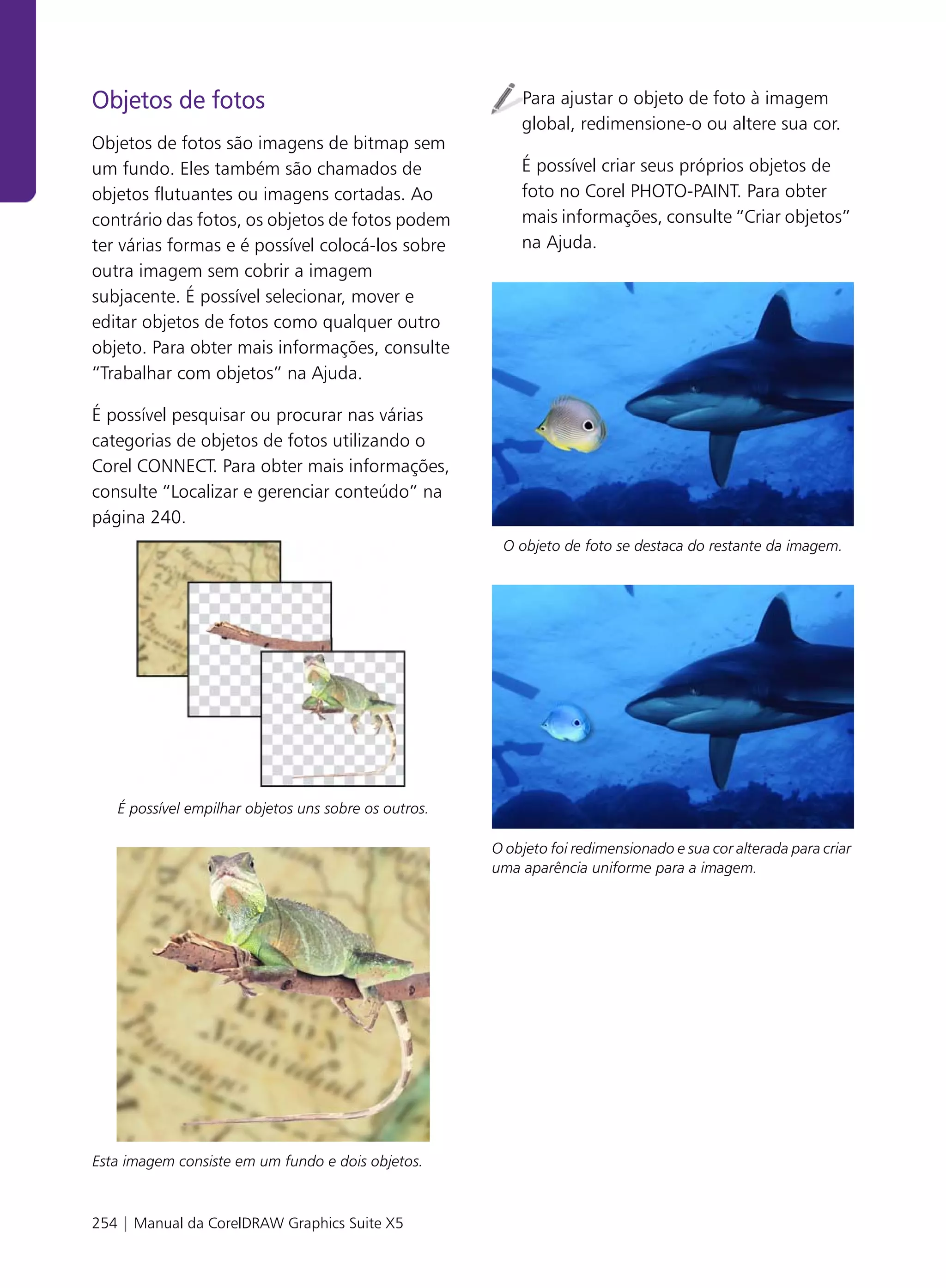 Objetos de fotos                                          Para ajustar o objeto de foto à imagem
                                                          global, redimensione-o ou altere sua cor.
Objetos de fotos são imagens de bitmap sem
um fundo. Eles também são chamados de                     É possível criar seus próprios objetos de
objetos flutuantes ou imagens cortadas. Ao                foto no Corel PHOTO-PAINT. Para obter
contrário das fotos, os objetos de fotos podem            mais informações, consulte “Criar objetos”
ter várias formas e é possível colocá-los sobre           na Ajuda.
outra imagem sem cobrir a imagem
subjacente. É possível selecionar, mover e
editar objetos de fotos como qualquer outro
objeto. Para obter mais informações, consulte
“Trabalhar com objetos” na Ajuda.

É possível pesquisar ou procurar nas várias
categorias de objetos de fotos utilizando o
Corel CONNECT. Para obter mais informações,
consulte “Localizar e gerenciar conteúdo” na
página 240.
                                                       O objeto de foto se destaca do restante da imagem.




   É possível empilhar objetos uns sobre os outros.

                                                      O objeto foi redimensionado e sua cor alterada para criar
                                                      uma aparência uniforme para a imagem.




Esta imagem consiste em um fundo e dois objetos.



254 | Manual da CorelDRAW Graphics Suite X5
 