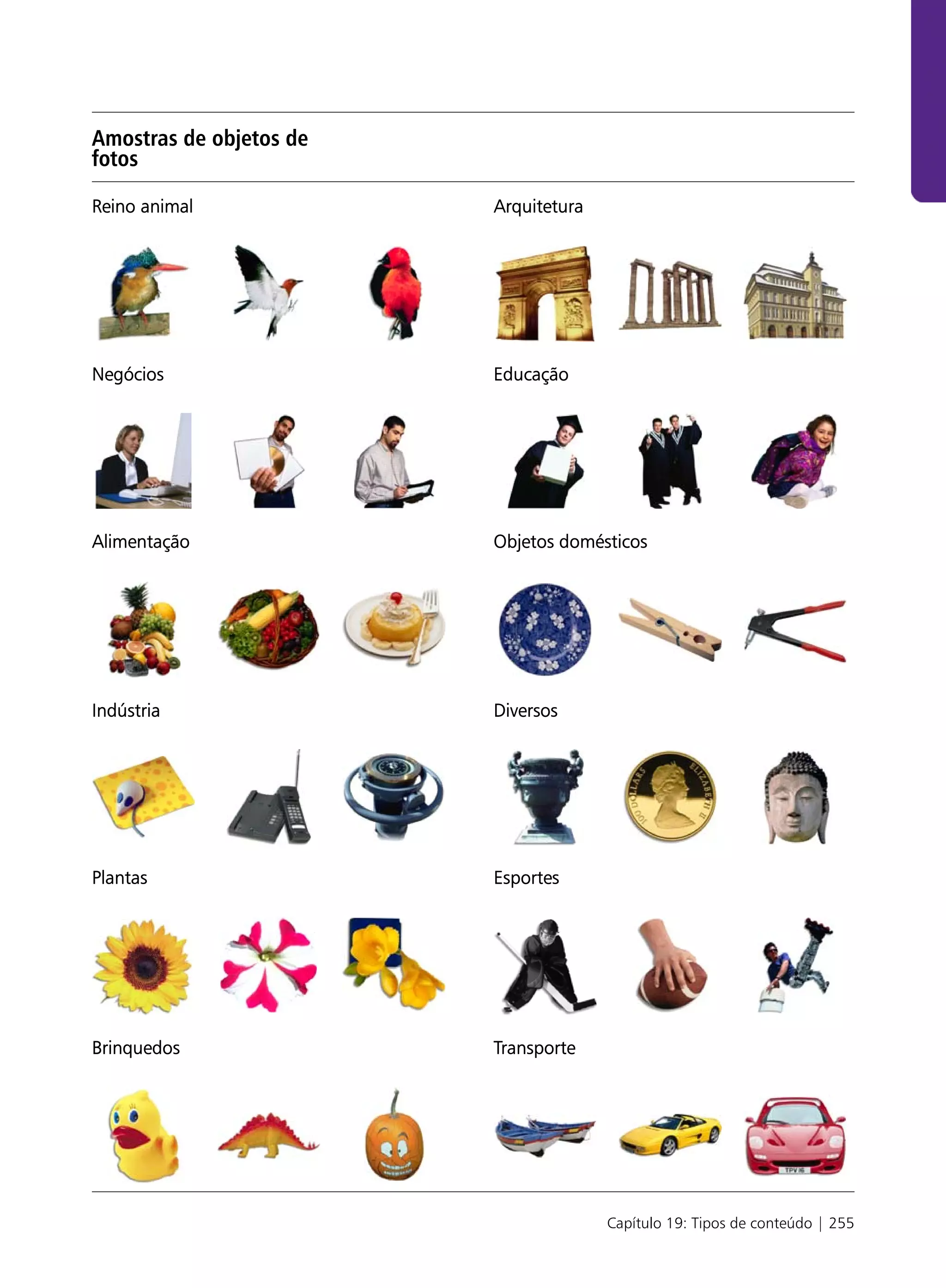 Amostras de objetos de
fotos

Reino animal             Arquitetura




Negócios                 Educação




Alimentação              Objetos domésticos




Indústria                Diversos




Plantas                  Esportes




Brinquedos               Transporte




                                       Capítulo 19: Tipos de conteúdo | 255
 