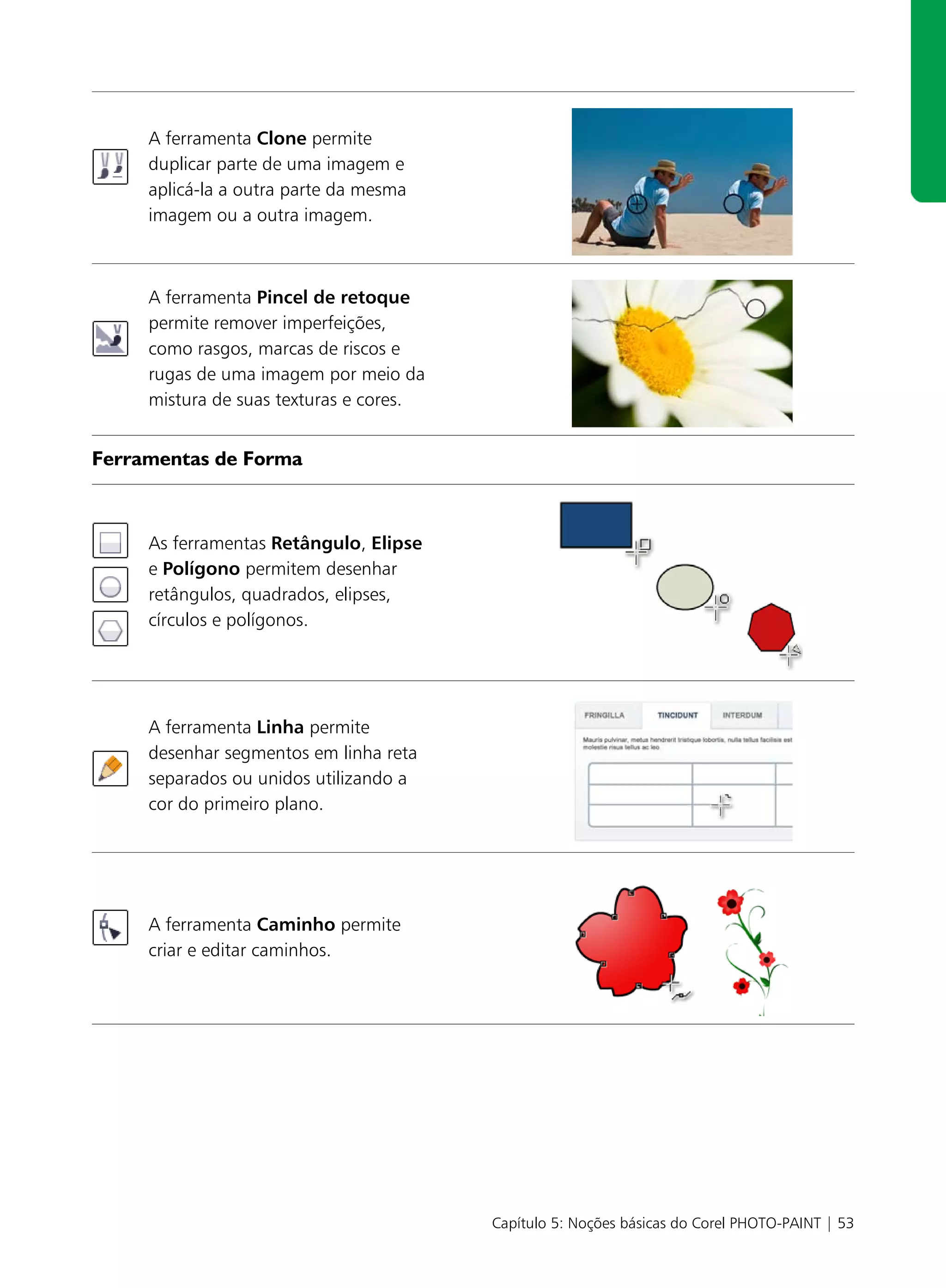 A ferramenta Clone permite
     duplicar parte de uma imagem e
     aplicá-la a outra parte da mesma
     imagem ou a outra imagem.



     A ferramenta Pincel de retoque
     permite remover imperfeições,
     como rasgos, marcas de riscos e
     rugas de uma imagem por meio da
     mistura de suas texturas e cores.


Ferramentas de Forma



     As ferramentas Retângulo, Elipse
     e Polígono permitem desenhar
     retângulos, quadrados, elipses,
     círculos e polígonos.




     A ferramenta Linha permite
     desenhar segmentos em linha reta
     separados ou unidos utilizando a
     cor do primeiro plano.




     A ferramenta Caminho permite
     criar e editar caminhos.




                                         Capítulo 5: Noções básicas do Corel PHOTO-PAINT | 53
 