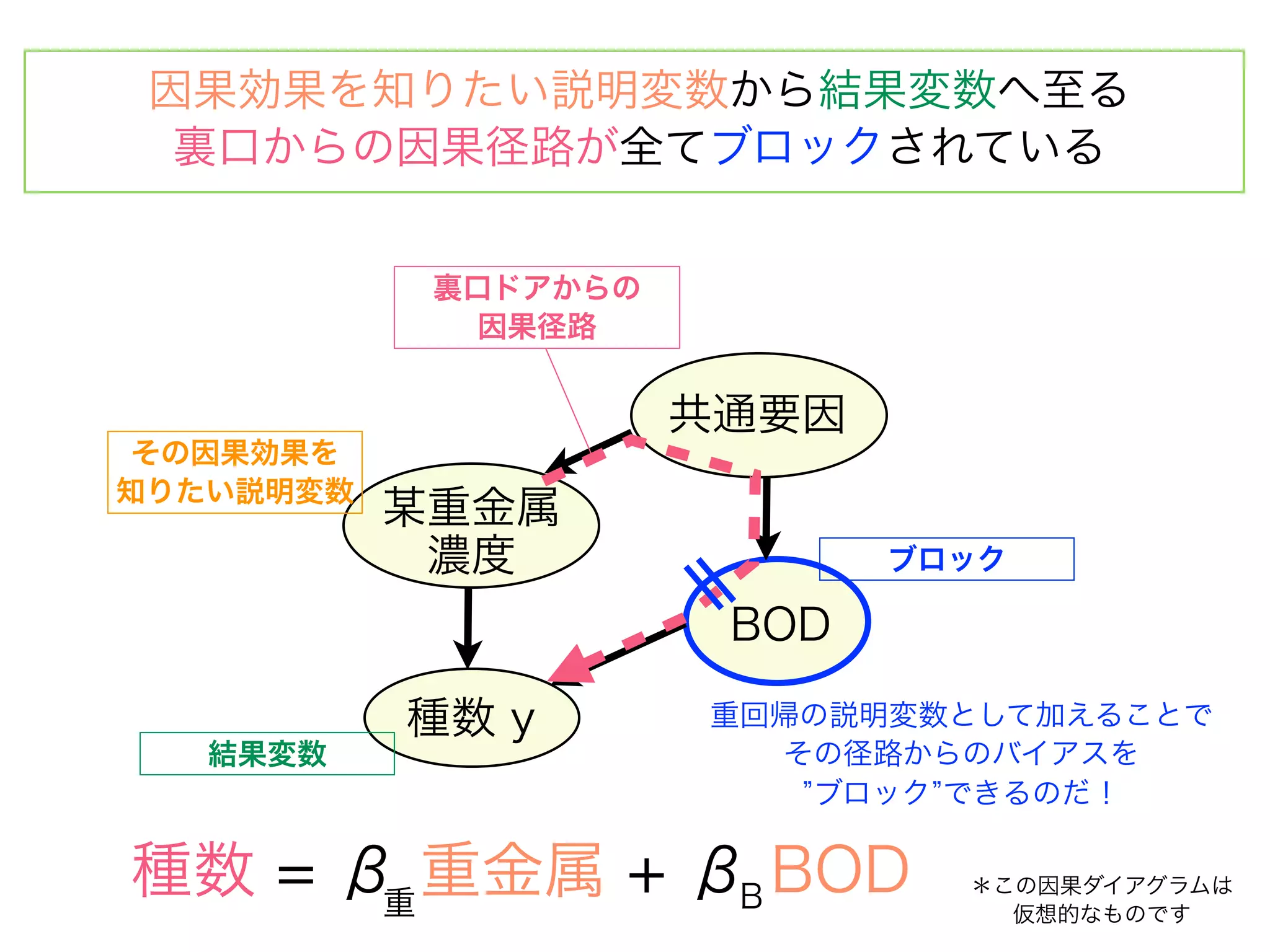 因果効果を知りたい説明変数から結果変数へ至る
  裏口からの因果径路が全てブロックされている


            裏口ドアからの
              因果径路


                      共通要因
 その因果効果を
知りたい説明変数
           某重金属
            濃度               ブロック

                       BOD

           種数 y       重回帰の説明変数として加えることで
   結果変数                 その径路からのバイアスを
                         ブロック できるのだ！

種数 = β 重金属 + βB BOD
      重
                               ＊この因果ダイアグラムは
                                 仮想的なものです
 