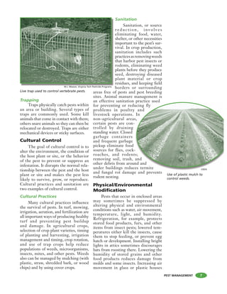 PEST MANAGEMENT
Trapping
Traps physically catch pests within
an area or building. Several types of
traps are commonly used. Some kill
animals that come in contact with them;
others snare animals so they can then be
relocated or destroyed. Traps are either
mechanical devices or sticky surfaces.
Cultural Control
The goal of cultural control is to
alter the environment, the condition of
the host plant or site, or the behavior
of the pest to prevent or suppress an
infestation. It disrupts the normal rela-
tionship between the pest and the host
plant or site and makes the pest less
likely to survive, grow, or reproduce.
Cultural practices and sanitation are
two examples of cultural control.
Cultural Practices
Many cultural practices influence
the survival of pests. In turf, mowing,
irrigation, aeration, and fertilization are
all important ways of producing healthy
turf and preventing pest buildup
and damage. In agricultural crops,
selection of crop plant varieties, timing
of planting and harvesting, irrigation
management and timing, crop rotation,
and use of trap crops help reduce
populations of weeds, microorganisms,
insects, mites, and other pests. Weeds
also can be managed by mulching (with
plastic, straw, shredded bark, or wood
chips) and by using cover crops.
Sanitation
Sanitation, or source
r e d u c t i o n , i n v o l v e s
eliminating food, water,
shelter, or other necessities
important to the pest’s sur-
vival. In crop production,
sanitation includes such
practicesasremovingweeds
that harbor pest insects or
rodents, eliminating weed
plants before they produce
seed, destroying diseased
plant material or crop
residues, and keeping field
borders or surrounding
areas free of pests and pest breeding
sites. Animal manure management is
an effective sanitation practice used
for preventing or reducing fly
problems in poultry and
livestock operations. In
non-agricultural areas,
certain pests are con-
trolled by draining
standing water. Closed
garbage containers
and frequent garbage
pickup eliminate food
sources for flies, cock-
roaches, and rodents;
removing soil, trash, and
other debris from around and
under buildings reduces termite
and fungal rot damage and prevents
rodent nesting.
Physical/Environmental
Modification
Pests that occur in enclosed areas
may sometimes be suppressed by
altering physical and environmental
conditions such as water, air movement,
temperature, light, and humidity.
Refrigeration, for example, protects
stored food products, furs, and other
items from insect pests; lowered tem-
peratures either kill the insects, cause
them to stop feeding, or prevent egg
hatch or development. Installing bright
lights in attics sometimes discourages
bats from roosting there. Lowering the
humidity of stored grains and other
food products reduces damage from
molds and some insects. Increasing air
movement in glass or plastic houses
practice used
ucing fly
and
In
s,
-
s;
and
nd and
es termite
d
Live trap used to control vertebrate pests.
Use of plastic mulch to
control weeds.
7
M.J. Weaver, Virginia Tech Pesticide Programs
USDA
 