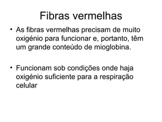Fibras vermelhas
• As fibras vermelhas precisam de muito
oxigénio para funcionar e, portanto, têm
um grande conteúdo de mioglobina.
• Funcionam sob condições onde haja
oxigénio suficiente para a respiração
celular
 