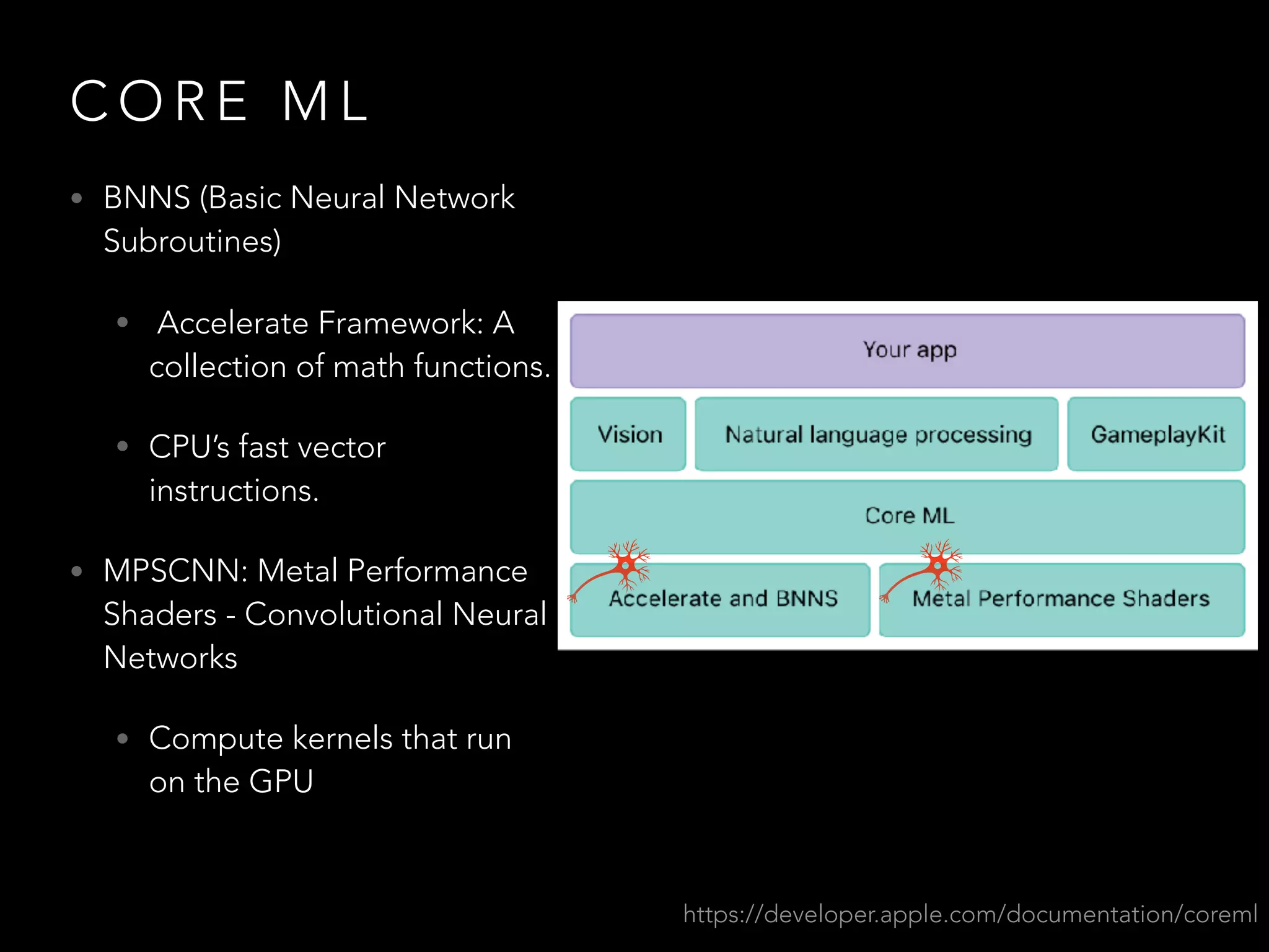 C O R E M L
• BNNS (Basic Neural Network
Subroutines)
• Accelerate Framework: A
collection of math functions.
• CPU’s fast vector
instructions.
• MPSCNN: Metal Performance
Shaders - Convolutional Neural
Networks
• Compute kernels that run
on the GPU
https://developer.apple.com/documentation/coreml
 